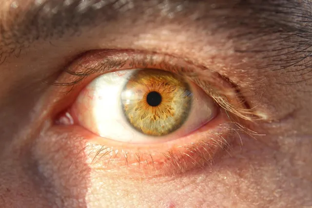 Complete Eye Health