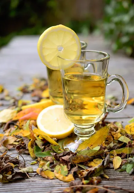 Complete Immune Formula