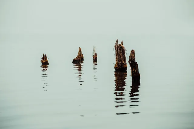 Complete Collagen