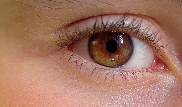 Complete Eye Health